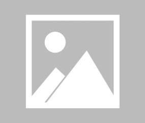 王勤伯：资源有限的匈牙利，已经发挥到极致